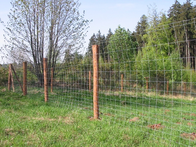 Šumska žica Češka ogradna žica 160 cm - 1.6+2.2mm/16 žica/150mm/50m