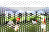 Cinkovana šesterokutna žica 20/0.7/1000/50m